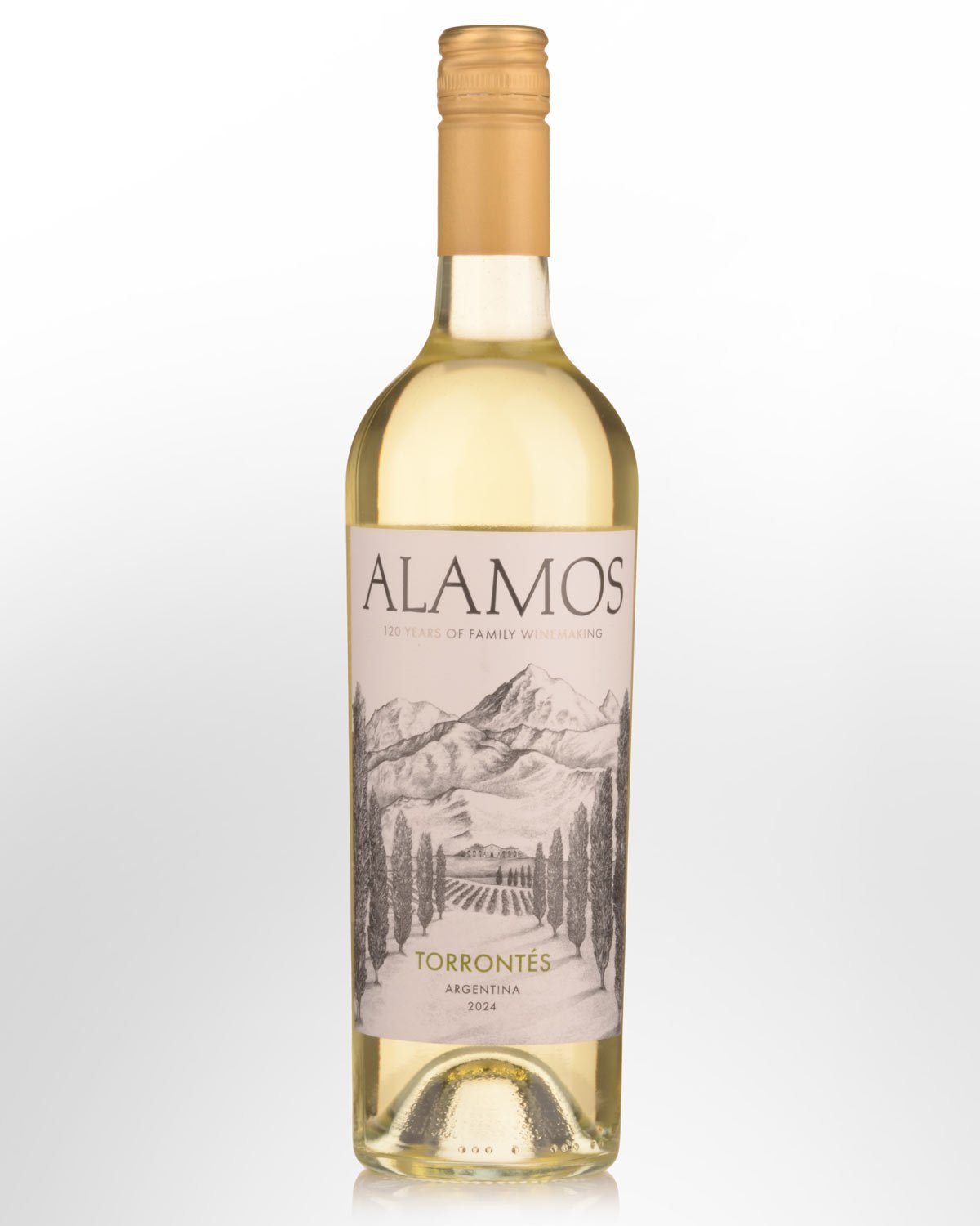 2024 Alamos Torrontes