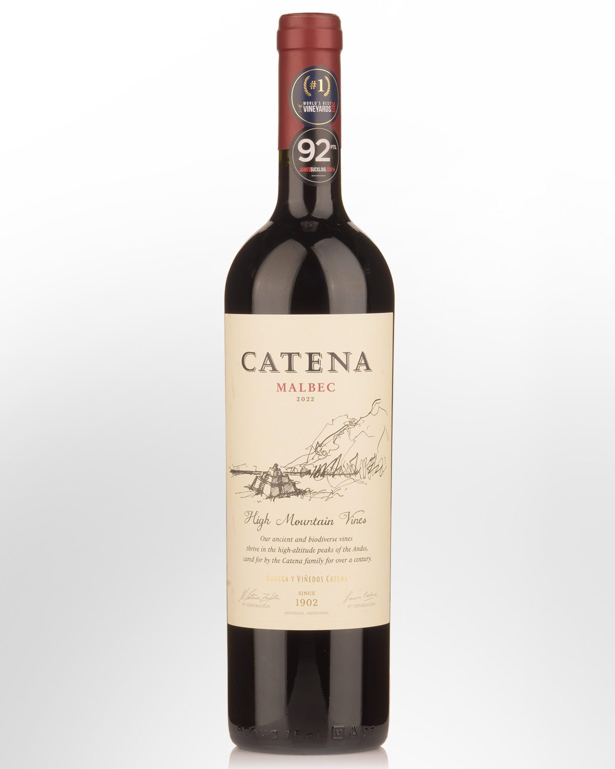 2022 Catena High Mountain Vines Malbec