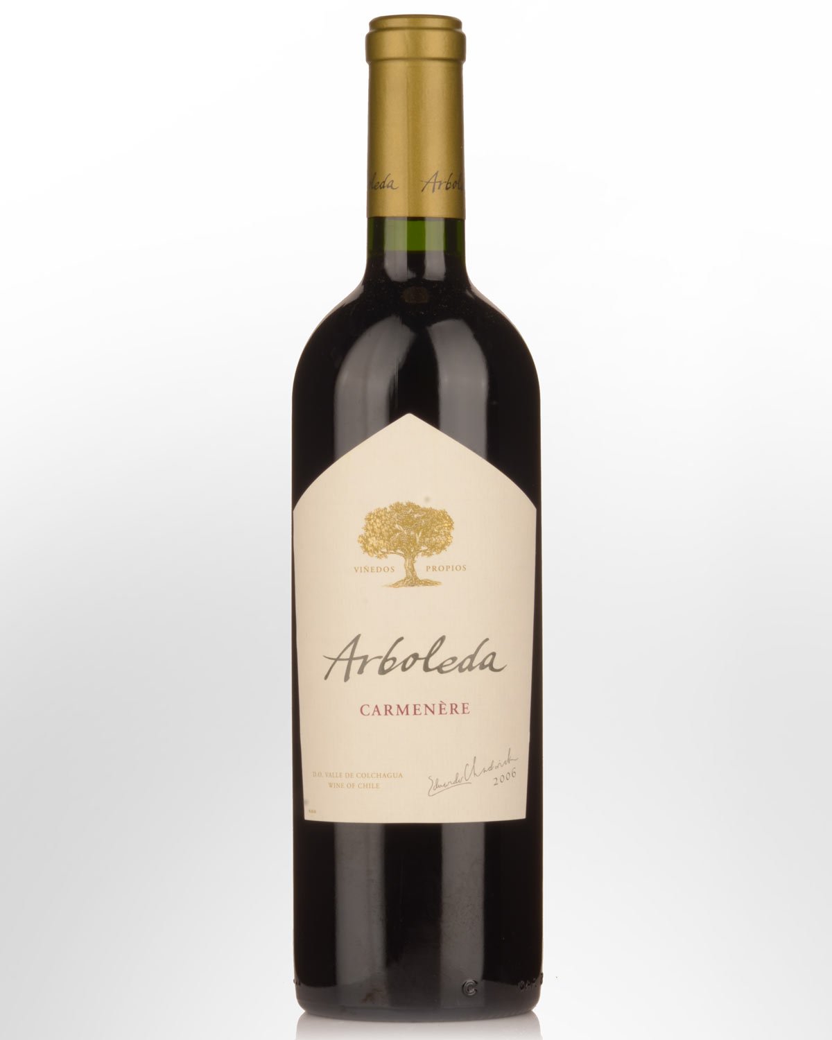 2006 Arboleda Carmenere - Museum Release