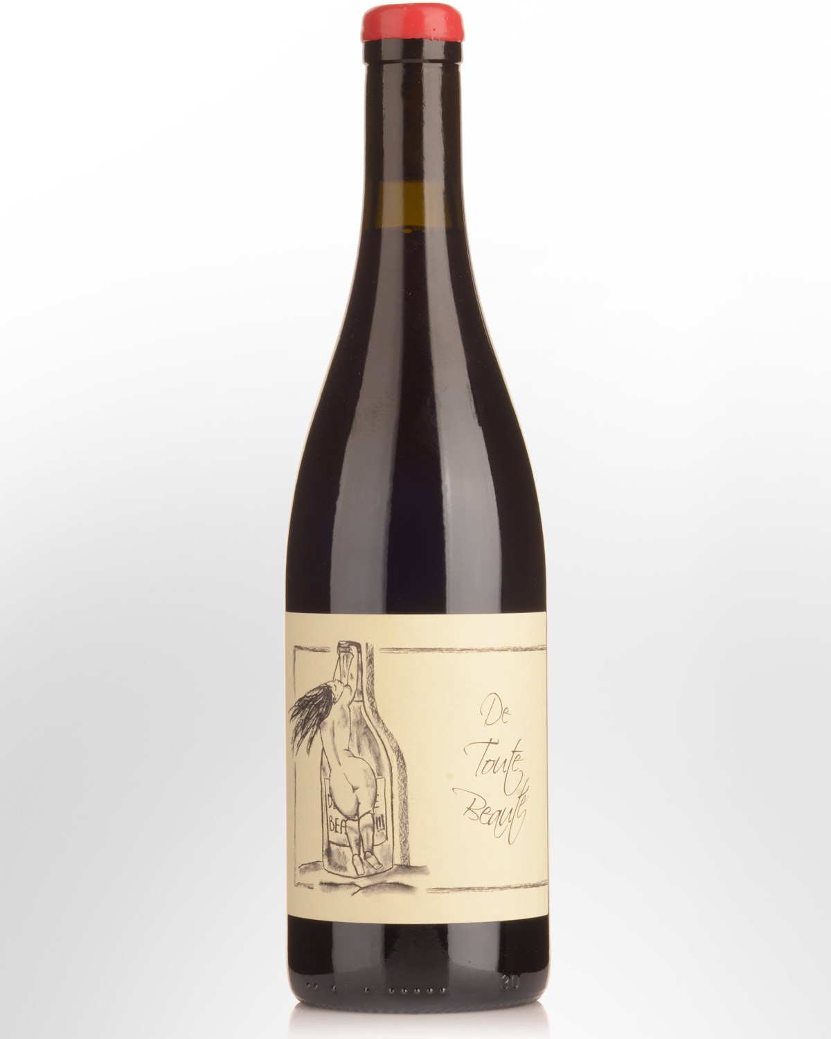 2021 Anne et Jean-Francois Ganevat De Toute Beaute Vin de France Rouge (L2106)