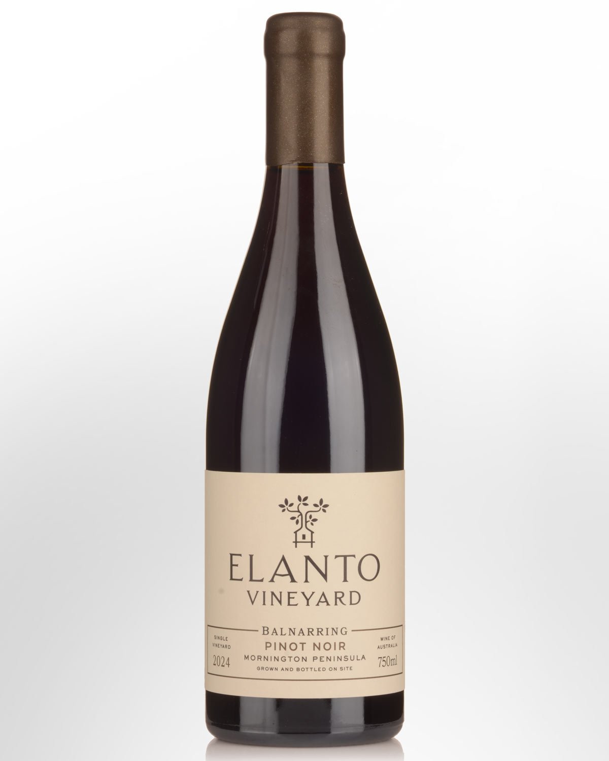 2024 Elanto Vineyard Pinot Noir