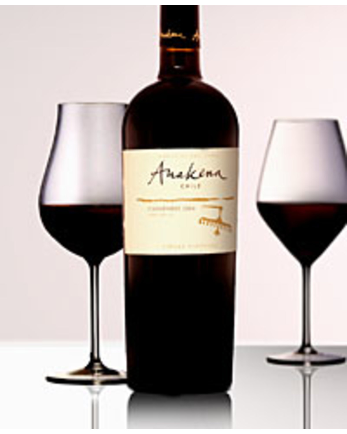 2004 Anakena Carmenere | Nicks Wine Merchants