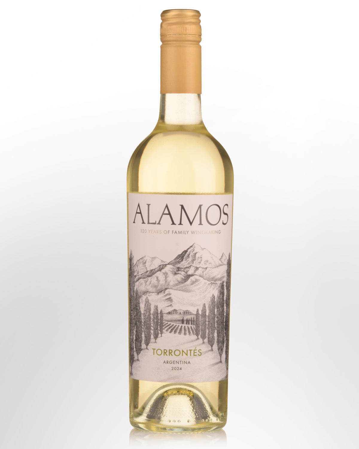 2024 Alamos Torrontes
