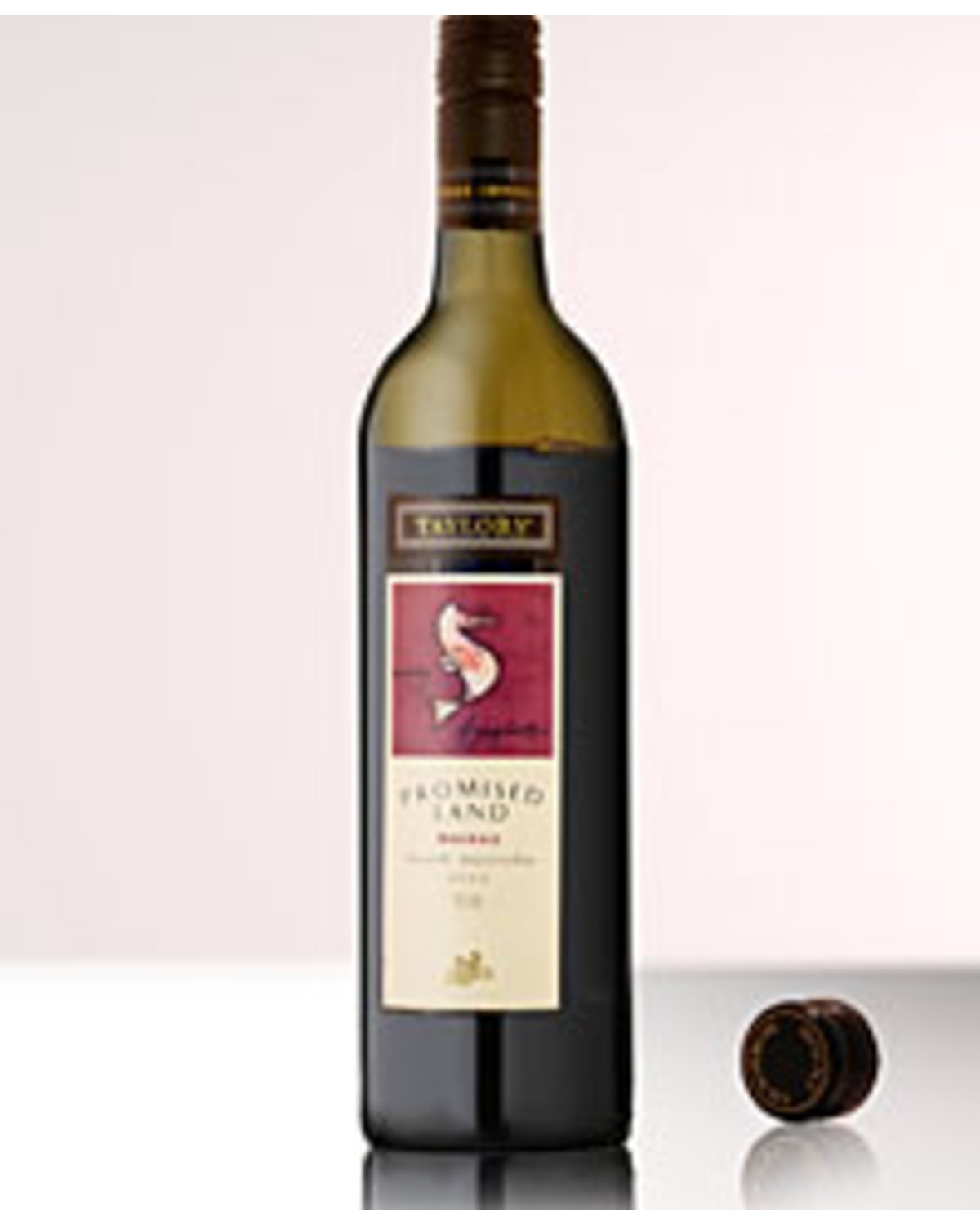 2010 Taylors Promised Land Shiraz | Nicks Wine Merchants