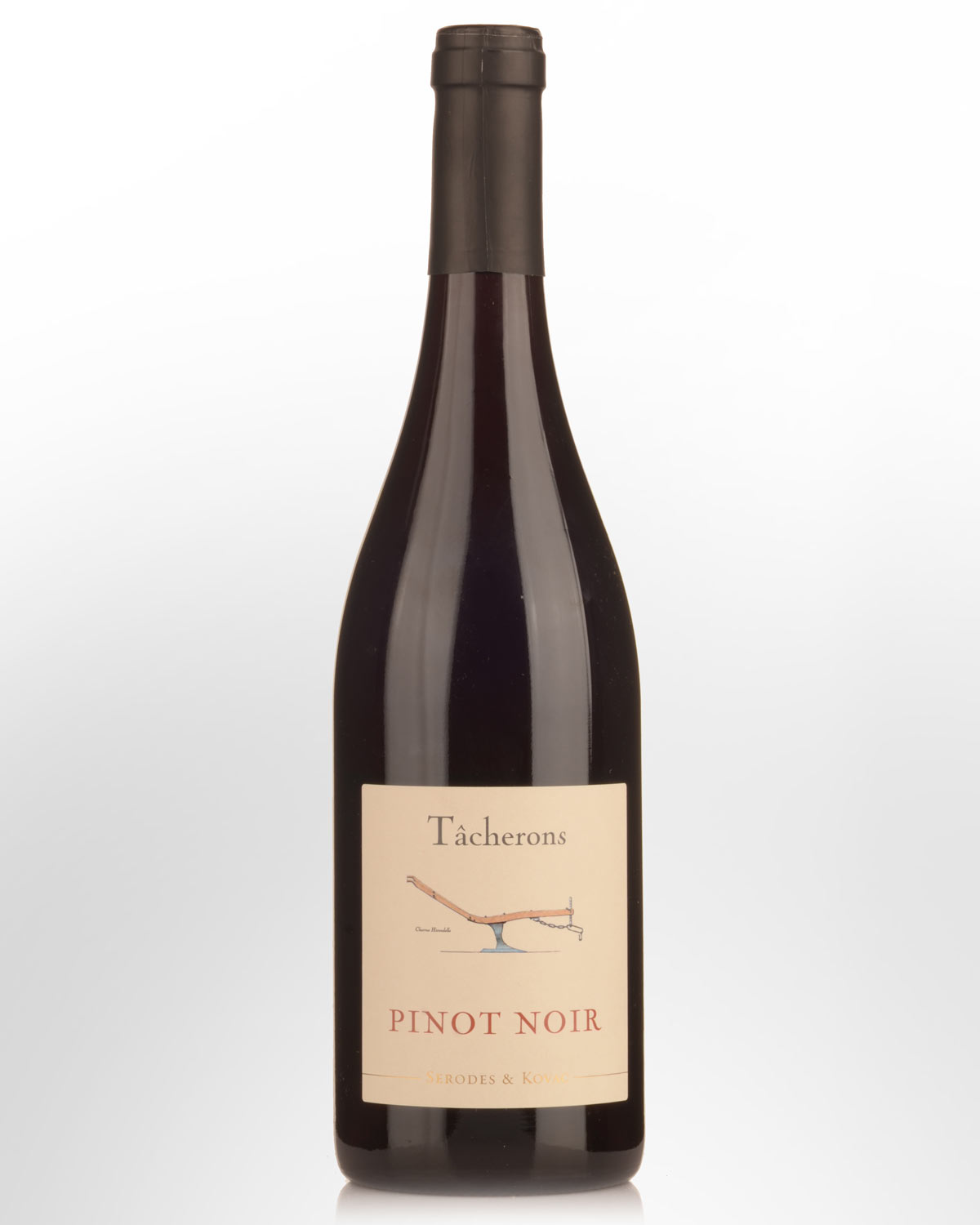 2024 Tacherons Pinot Noir