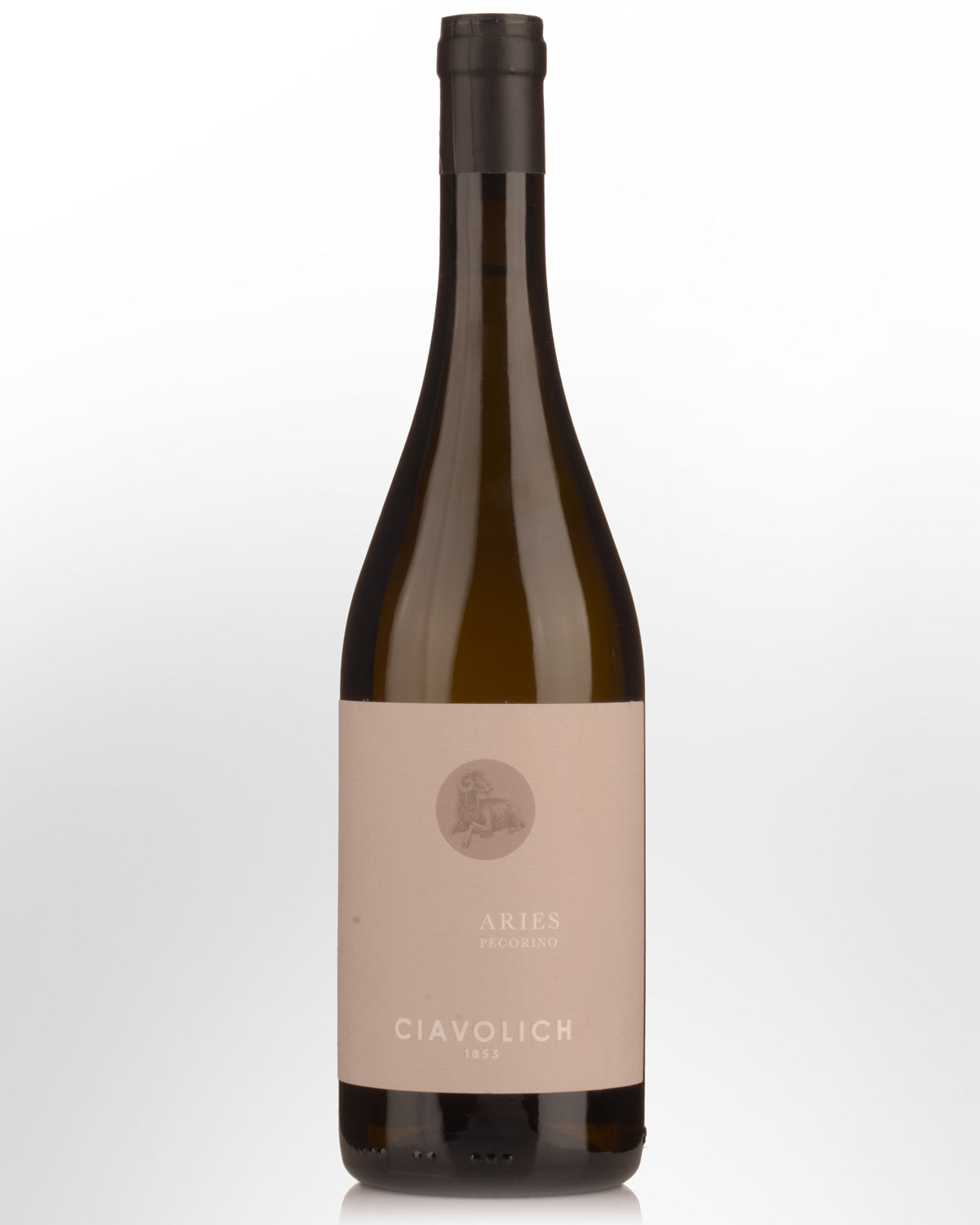 2024 Ciavolich Aries Pecorino