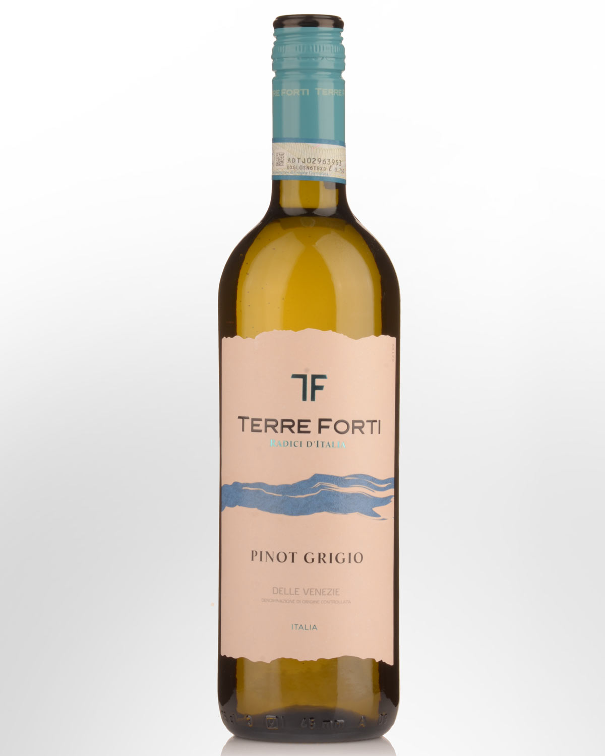 2024 Terre Forti Pinot Grigio delle Venezie
