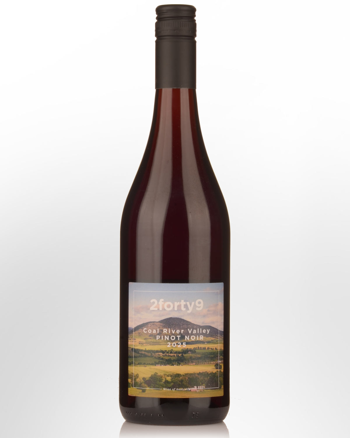2025 2Forty9 Coal River Valley Pinot Noir
