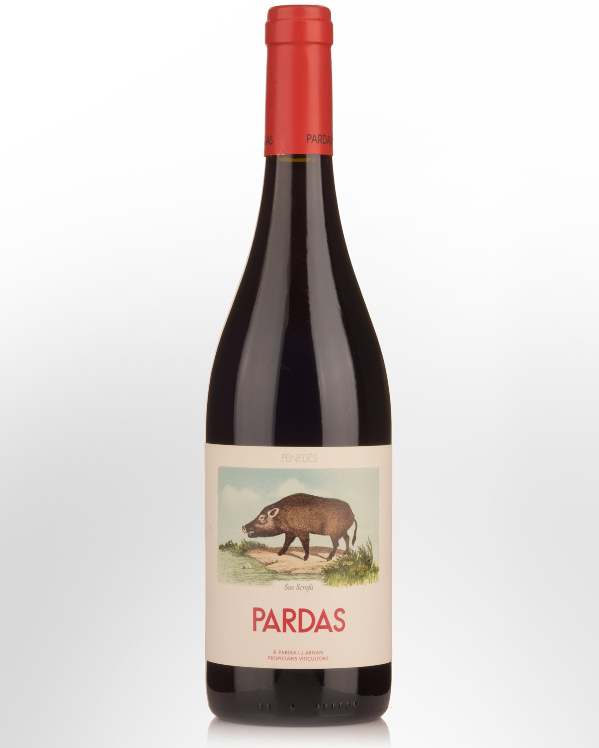 2021 Celler Pardas Sus Scrofa Sumoll