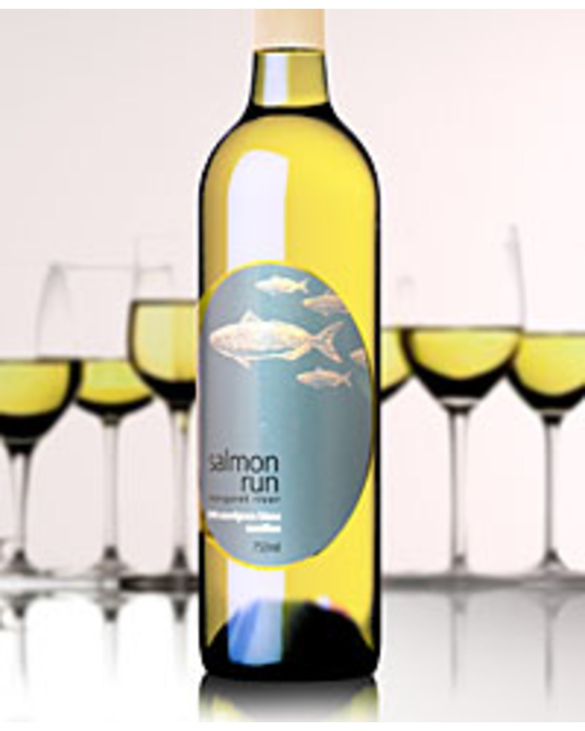2008 Salmon Run Sauvignon Blanc Semillon Nicks Wine Merchants