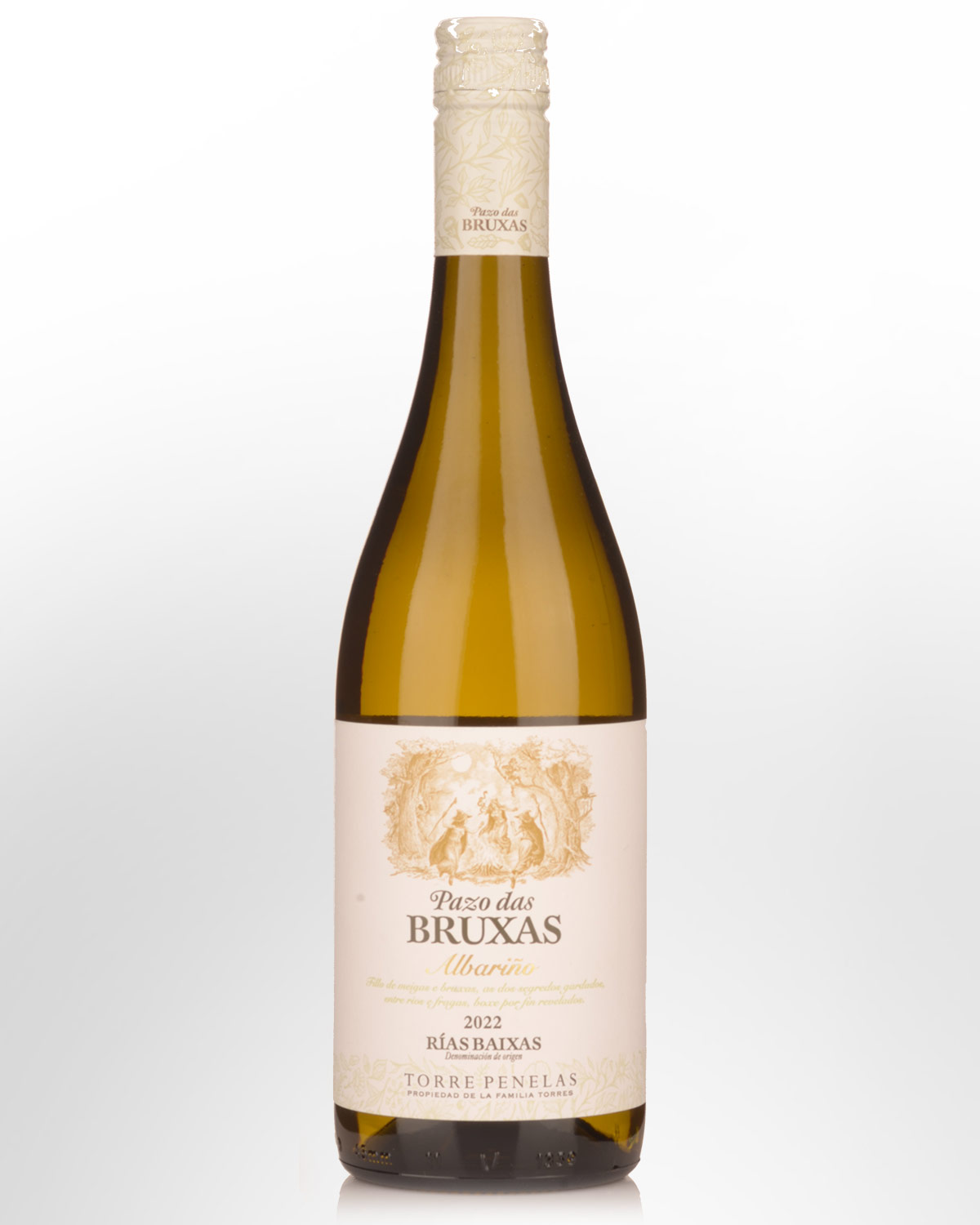 2022 Torres Pazo das Bruxas Albarino