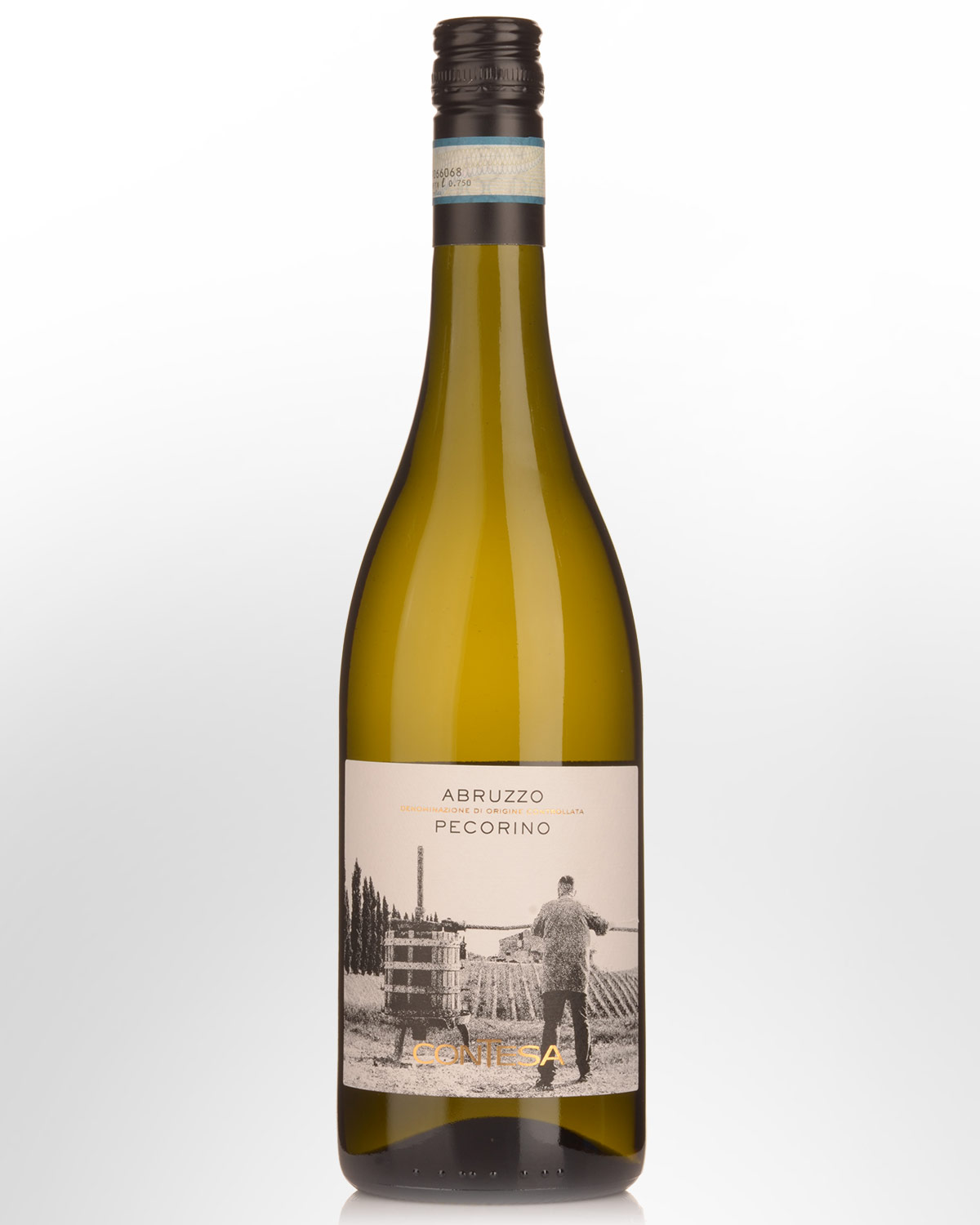 2020 Contesa Pecorino
