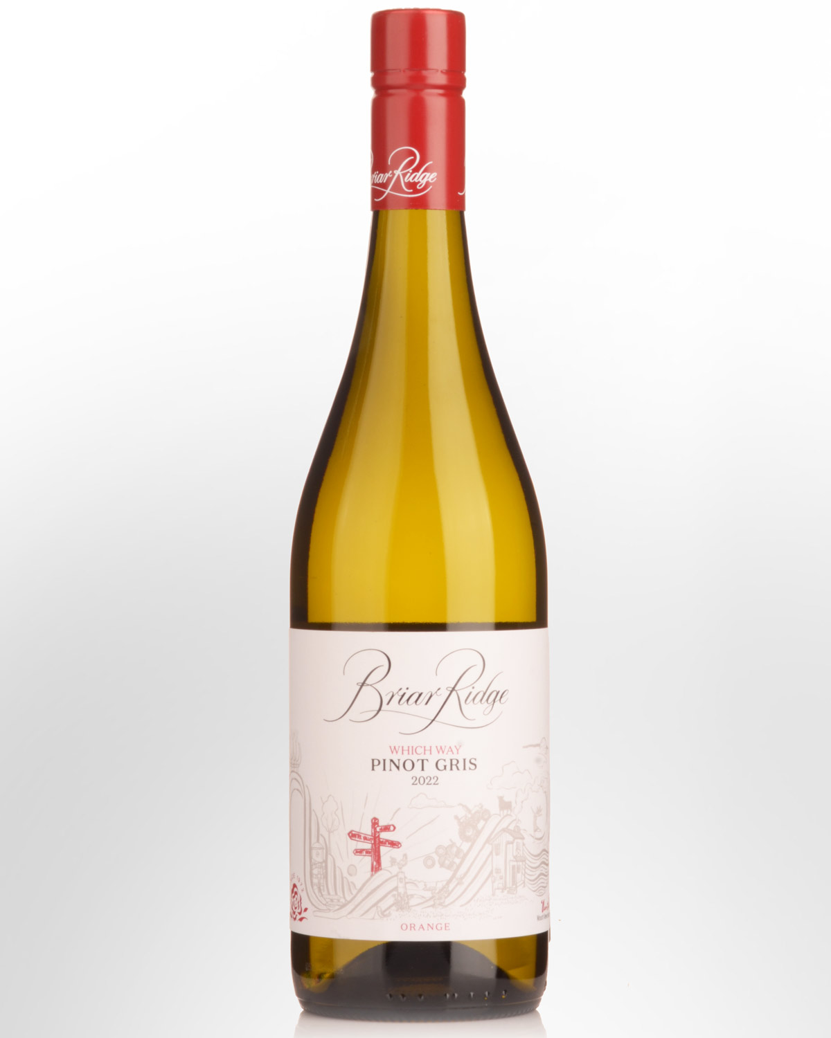 2022 Briar Ridge Which Way Pinot Gris