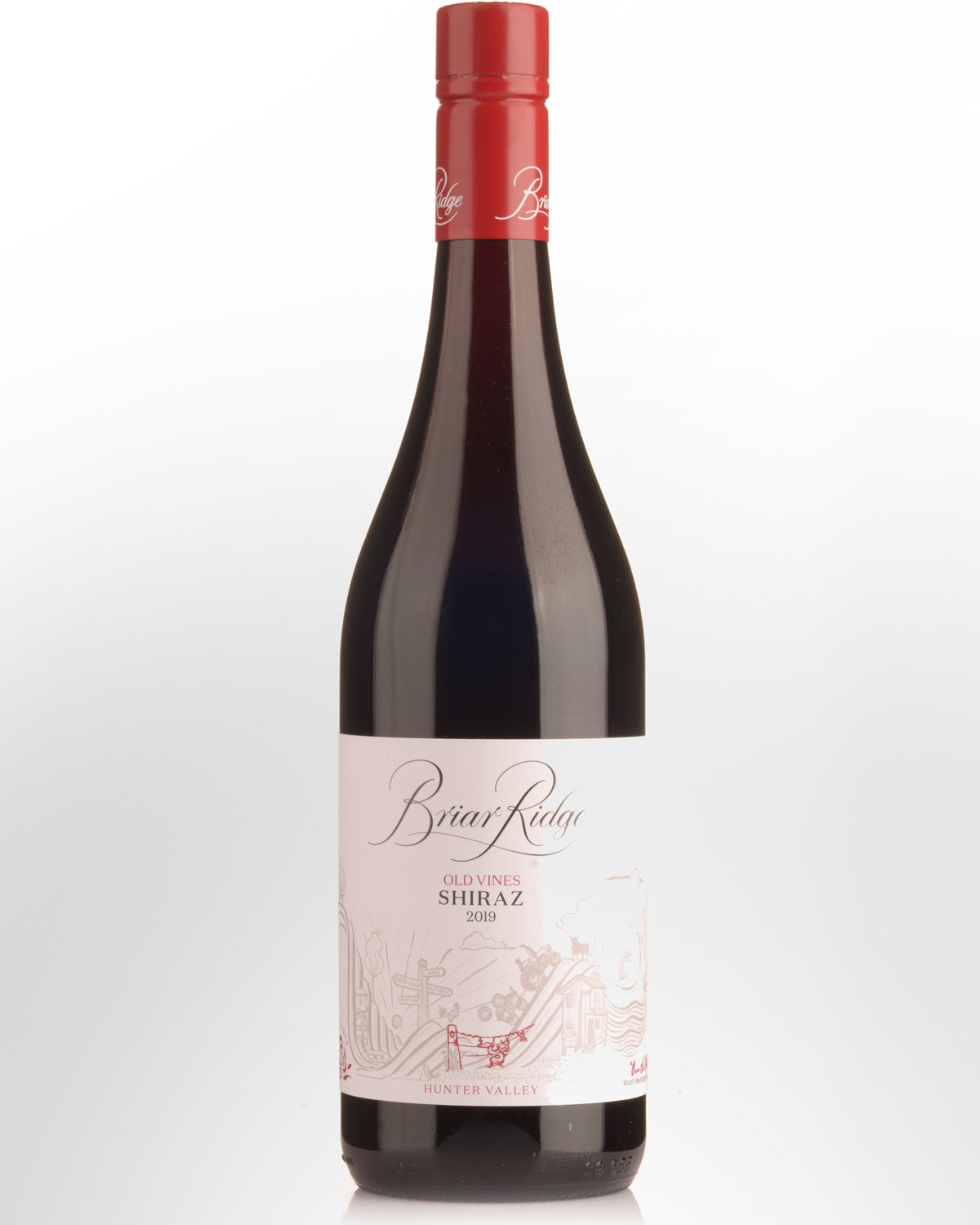 2019 Briar Ridge Old Vines Shiraz